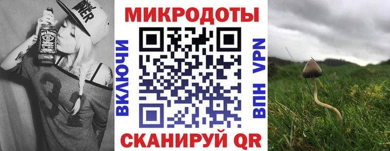 где можно купить наркотик  Дмитриев  Псилоцибиновые грибы ЛСД 